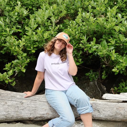 Perfectly Stormy Crop Tee